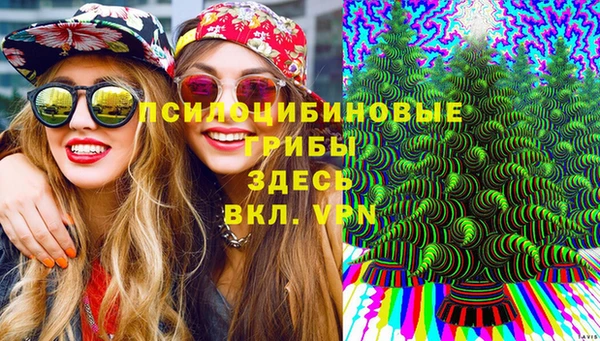 шишки Алексеевка
