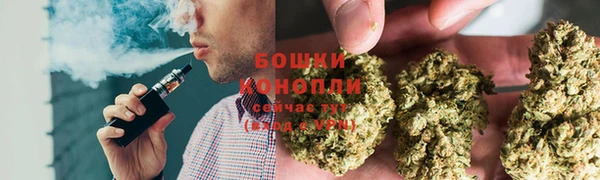 шишки Алексеевка
